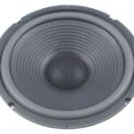 W250 9067 ZVUČNIK, NISKOTONSKI / BAS / WOOFER / 25-CM, 8-OHM